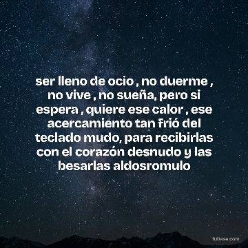 ser lleno de ocio , no duerme , no vive , no sueña, pero si espera , quiere ese calor , ese acercamiento tan frió del teclado mudo, para recibirlas con el corazón desnudo y las besarlas aldosromulo