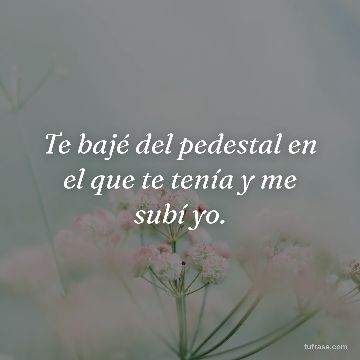 Te bajé del pedestal en el que te tenía y me subí yo.