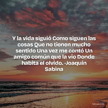 Y la vida siguió Como siguen las cosas Que no tienen mucho sentido Una vez me contó Un amigo común que la vio Donde habita el olvido. -Joaquín Sabina
