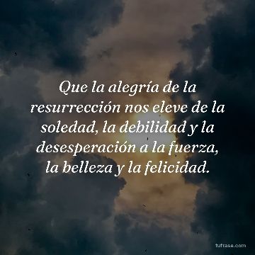 Que la alegría de la resurrección nos eleve de la soledad, la debilidad y la desesperación a la fuerza, la belleza y la felicidad.