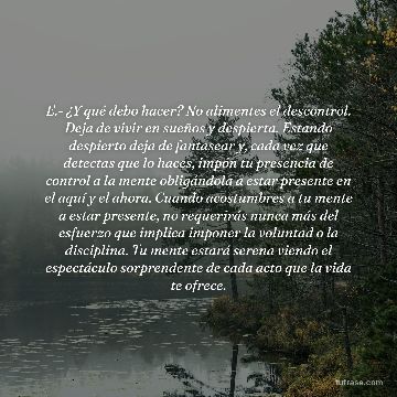 E.- ¿Y qué debo hacer? No alimentes el descontrol. Deja de vivir en sueños y despierta. Estando despierto deja de fantasear y, cada vez que detectas que lo haces, impón tu presencia de control a la mente obligándola a estar presente en el aquí y el ahora. Cuando acostumbres a tu mente a estar presente, no requerirás nunca más del esfuerzo que implica imponer la voluntad o la disciplina. Tu mente estará serena viendo el espectáculo sorprendente de cada acto que la vida te ofrece.