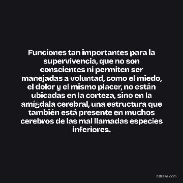 Funciones tan importantes para la supervivencia, que no son conscientes ni permiten ser manejadas a voluntad, como el miedo, el dolor y el mismo placer, no están ubicadas en la corteza, sino en la amígdala cerebral, una estructura que también está presente en muchos cerebros de las mal llamadas especies inferiores.