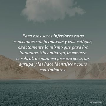 Para esos seres inferiores estas reacciones son primarias y casi reflejas, exactamente lo mismo que para los humanos. Sin embargo, la corteza cerebral, de manera presuntuosa, las agrupa y las hace identificar como sentimientos.
