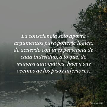 La consciencia solo aporta argumentos para ponerle lógica, de acuerdo con la experiencia de cada individuo, a lo que, de manera automática, hacen sus vecinos de los pisos inferiores.