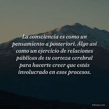 La consciencia es como un pensamiento a posteriori. Algo así como un ejercicio de relaciones públicas de tu corteza cerebral para hacerte creer que estás involucrado en esos procesos.