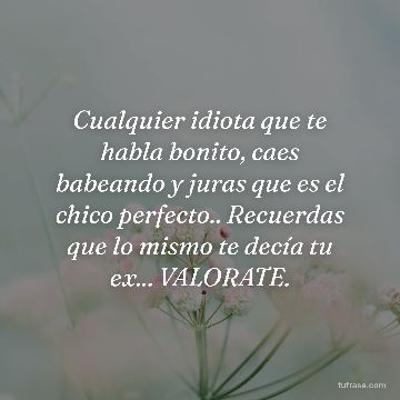 Cualquier idiota que te habla bonito, caes babeando y juras que es el chico perfecto.. Recuerdas que lo mismo te decía tu ex... VALORATE.