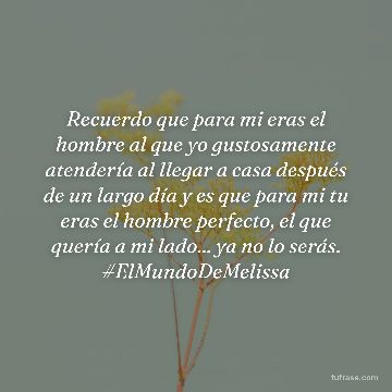 Recuerdo que para mi eras el hombre al que yo gustosamente atendería al llegar a casa después de un largo día y es que para mi tu eras el hombre perfecto, el que quería a mi lado... ya no lo serás. #ElMundoDeMelissa