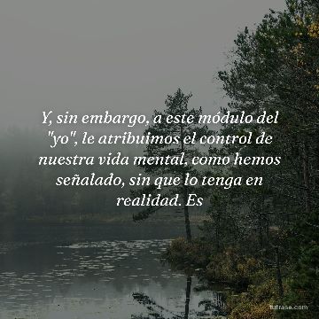 Y, sin embargo, a este módulo del "yo", le atribuimos el control de nuestra vida mental, como hemos señalado, sin que lo tenga en realidad. Es