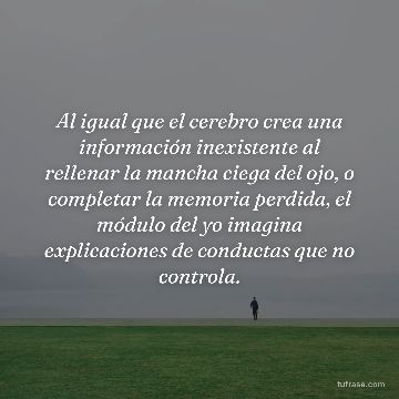 Al igual que el cerebro crea una información inexistente al rellenar la mancha ciega del ojo, o completar la memoria perdida, el módulo del yo imagina explicaciones de conductas que no controla.