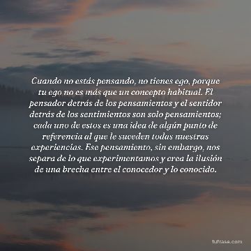 Cuando no estás pensando, no tienes ego, porque tu ego no es más que un concepto habitual. El pensador detrás de los pensamientos y el sentidor detrás de los sentimientos son solo pensamientos; cada uno de estos es una idea de algún punto de referencia al que le suceden todas nuestras experiencias. Ese pensamiento, sin embargo, nos separa de lo que experimentamos y crea la ilusión de una brecha entre el conocedor y lo conocido.