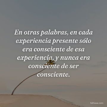 En otras palabras, en cada experiencia presente sólo era consciente de esa experiencia, y nunca era consciente de ser consciente.