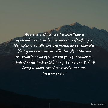 Nuestra cultura nos ha enseñado a especializarnos en la consciencia reflector y a identificarnos sólo con esa forma de consciencia. Yo soy mi consciencia reflector. Mi atención consciente es mi ego; eso soy yo. Ignoramos en general la luz ambiental, aunque funciona todo el tiempo. Todos nuestros nervios son sus instrumentos.