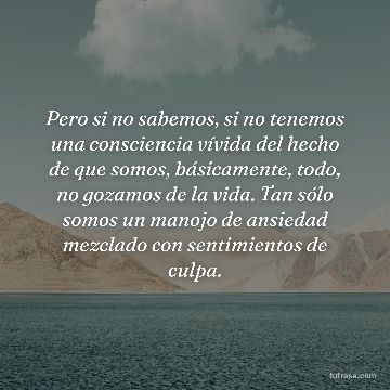 Pero si no sabemos, si no tenemos una consciencia vívida del hecho de que somos, básicamente, todo, no gozamos de la vida. Tan sólo somos un manojo de ansiedad mezclado con sentimientos de culpa.