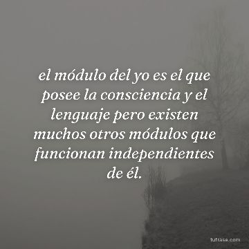 el módulo del yo es el que posee la consciencia y el lenguaje pero existen muchos otros módulos que funcionan independientes de él.