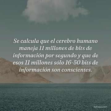 Se calcula que el cerebro humano maneja 11 millones de bits de información por segundo y que de esos 11 millones sólo 16-50 bits de información son conscientes.
