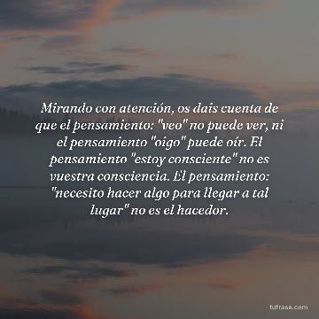 Mirando con atención, os dais cuenta de que el pensamiento: "veo" no puede ver, ni el pensamiento "oigo" puede oír. El pensamiento "estoy consciente" no es vuestra consciencia. El pensamiento: "necesito hacer algo para llegar a tal lugar" no es el hacedor.