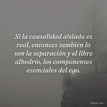 Si la causalidad aislada es real, entonces también lo son la separación y el libre albedrío, los componentes esenciales del ego.