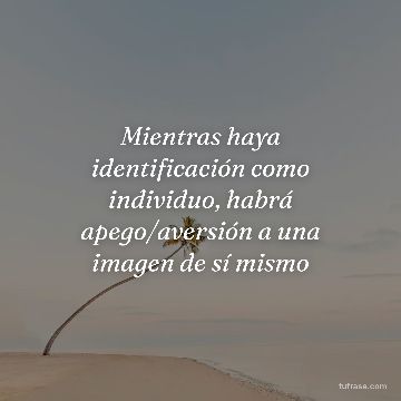 Mientras haya identificación como individuo, habrá apego/aversión a una imagen de sí mismo