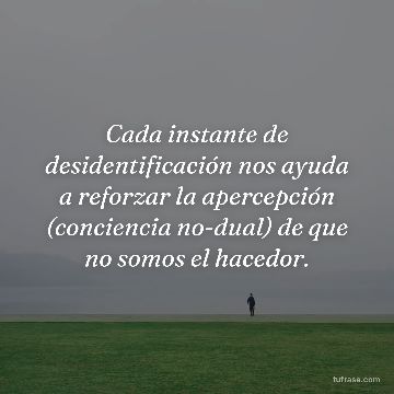 Cada instante de desidentificación nos ayuda a reforzar la apercepción (conciencia no-dual) de que no somos el hacedor.