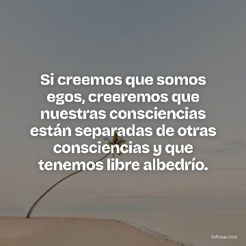 Si creemos que somos egos, creeremos que nuestras consciencias están separadas de otras consciencias y que tenemos libre albedrío.