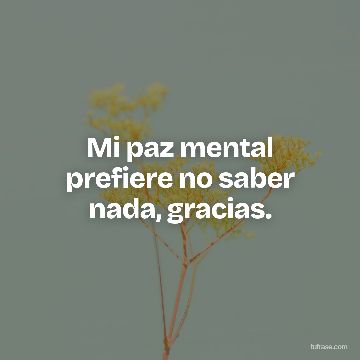 Mi paz mental prefiere no saber nada, gracias.