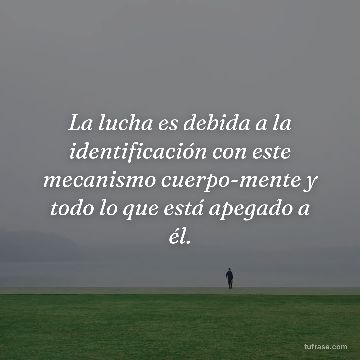 La lucha es debida a la identificación con este mecanismo cuerpo-mente y todo lo que está apegado a él.