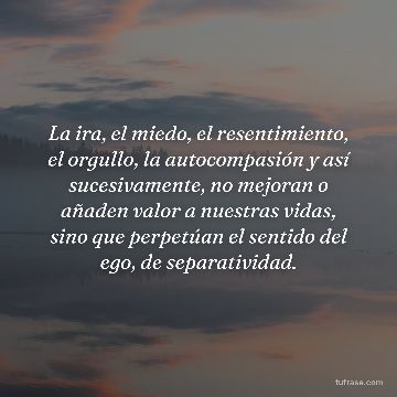La ira, el miedo, el resentimiento, el orgullo, la autocompasión y así sucesivamente, no mejoran o añaden valor a nuestras vidas, sino que perpetúan el sentido del ego, de separatividad.