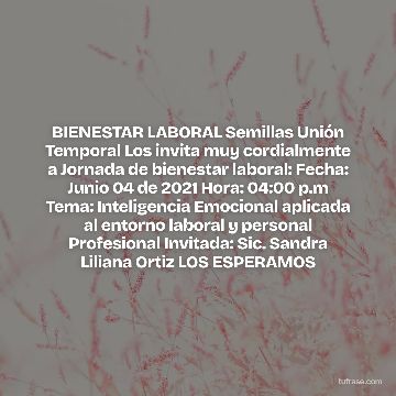 BIENESTAR LABORAL Semillas Unión Temporal Los invita muy cordialmente a Jornada de bienestar laboral: Fecha: Junio 04 de 2021 Hora: 04:00 p.m Tema: Inteligencia Emocional aplicada al entorno laboral y personal Profesional Invitada: Sic. Sandra Liliana Ortiz LOS ESPERAMOS