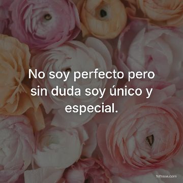 No soy perfecto pero sin duda soy único y especial.
