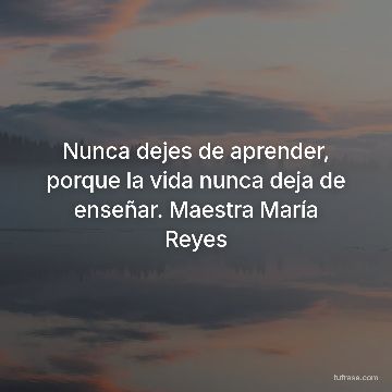 Nunca dejes de aprender, porque la vida nunca deja de enseñar. Maestra María Reyes