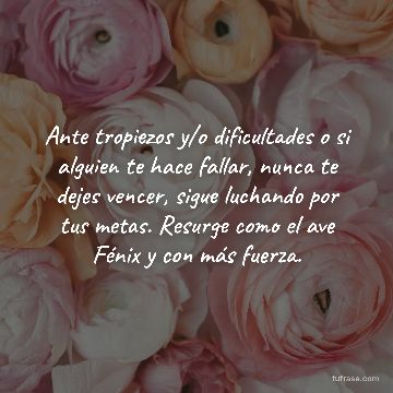 Ante tropiezos y/o dificultades o si alguien te hace fallar, nunca te dejes vencer, sigue luchando por tus metas. Resurge como el ave Fénix y con más fuerza.