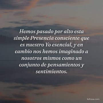Hemos pasado por alto esta simple Presencia consciente que es nuestro Yo esencial, y en cambio nos hemos imaginado a nosotros mismos como un conjunto de pensamientos y sentimientos.