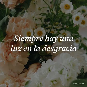 Siempre hay una luz en la desgracia