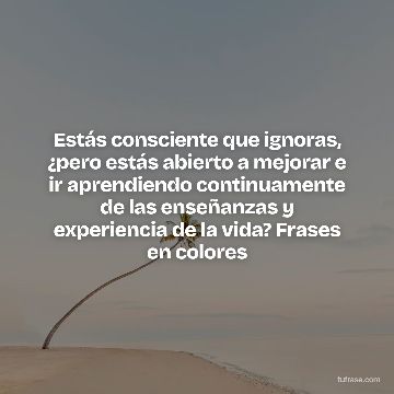 Estás consciente que ignoras, ¿pero estás abierto a mejorar e ir aprendiendo continuamente de las enseñanzas y experiencia de la vida? Frases en colores