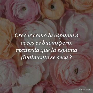 Crecer como la espuma a veces es bueno pero, recuerda que la espuma finalmente se seca ?