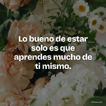 Lo bueno de estar solo es que aprendes mucho de ti mismo.
