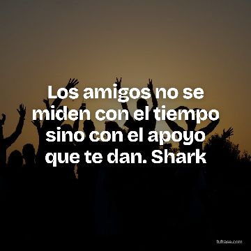 Los amigos no se miden con el tiempo sino con el apoyo que te dan. Shark