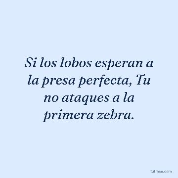 Si los lobos esperan a la presa perfecta, Tu no ataques a la primera zebra.