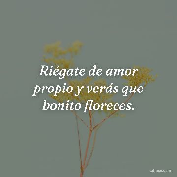 Riégate de amor propio y verás que bonito floreces.