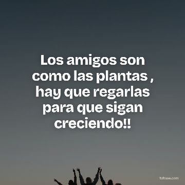 Los amigos son como las plantas , hay que regarlas para que sigan creciendo!!