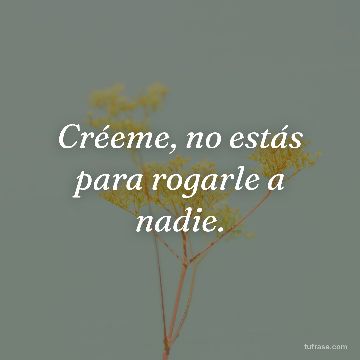 Créeme, no estás para rogarle a nadie.