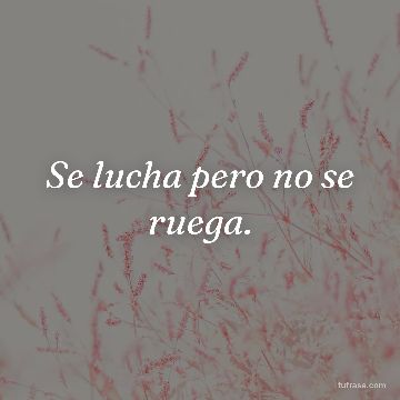 Se lucha pero no se ruega.