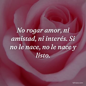 No rogar amor, ni amistad, ni interés. Si no le nace, no le nace y listo.