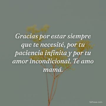 Gracias por estar siempre que te necesité, por tu paciencia infinita y por tu amor incondicional. Te amo mamá.