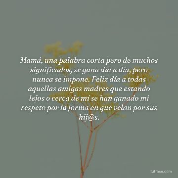 Mamá, una palabra corta pero de muchos significados, se gana día a día, pero nunca se impone. Feliz día a todas aquellas amigas madres que estando lejos o cerca de mí se han ganado mi respeto por la forma en que velan por sus hij@s.
