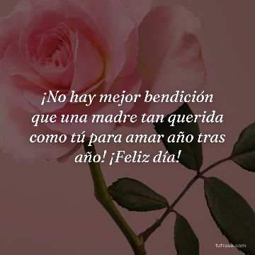 ¡No hay mejor bendición que una madre tan querida como tú para amar año tras año! ¡Feliz día!