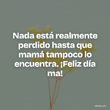 Nada está realmente perdido hasta que mamá tampoco lo encuentra. ¡Feliz día ma!