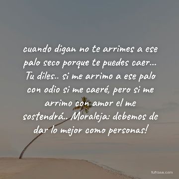 cuando digan no te arrimes a ese palo seco porque te puedes caer... Tu diles.. si me arrimo a ese palo con odio si me caeré, pero si me arrimo con amor el me sostendrá.. Moraleja: debemos de dar lo mejor como personas!