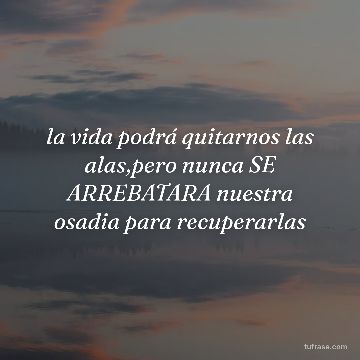 la vida podrá quitarnos las alas,pero nunca SE ARREBATARA nuestra osadia para recuperarlas