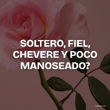 SOLTERO, FIEL, CHEVERE Y POCO MANOSEADO?